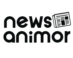 Logo Animor